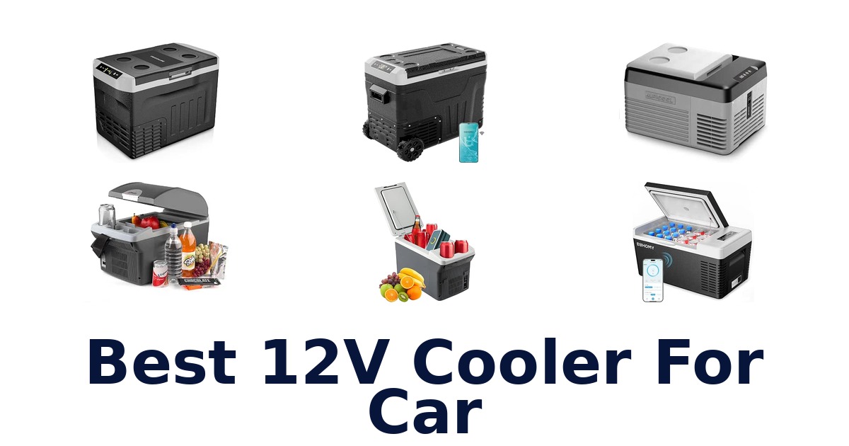 Best 12V Cooler For Car