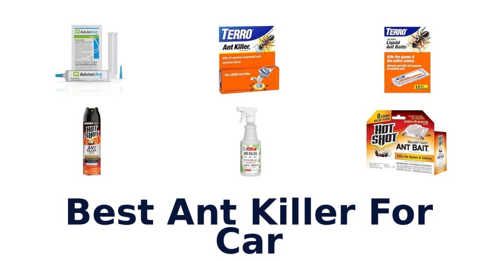 Best Ant Killer For Car