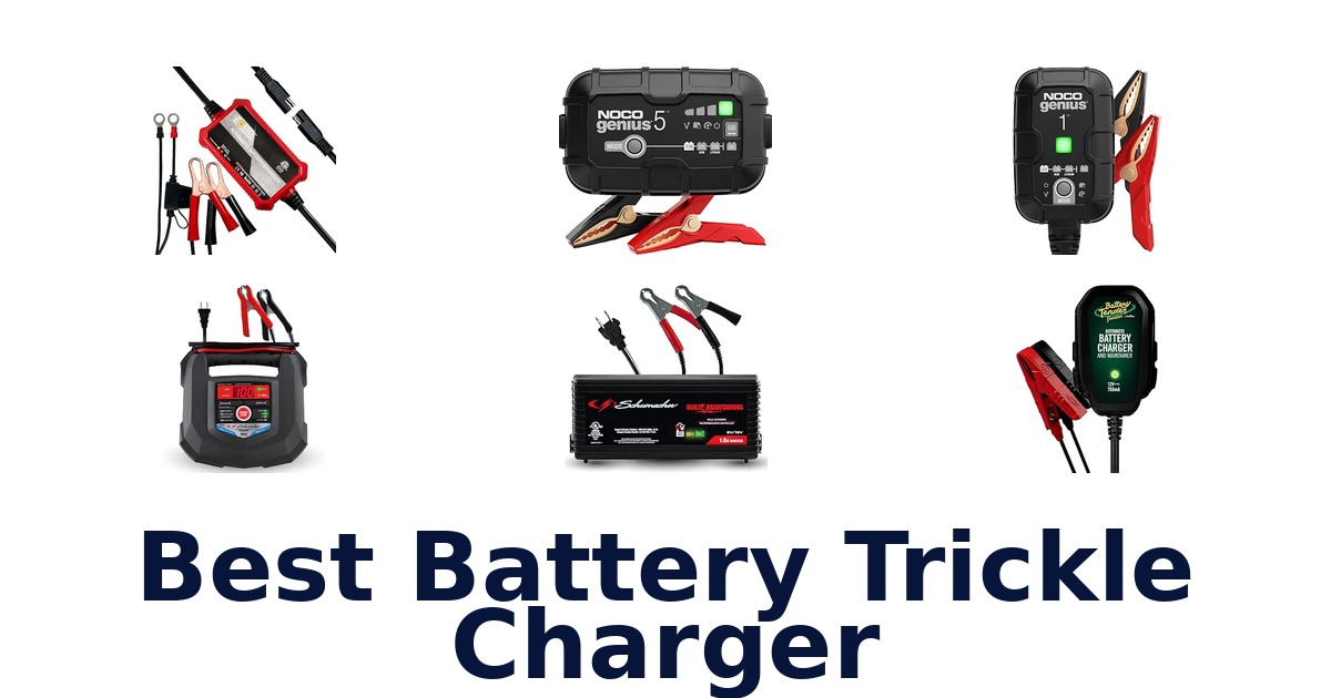 Best Battery Trickle Charger