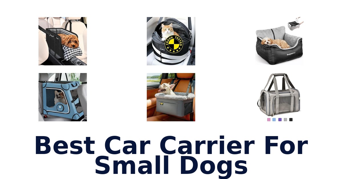Best Car Carrier For Small Dogs