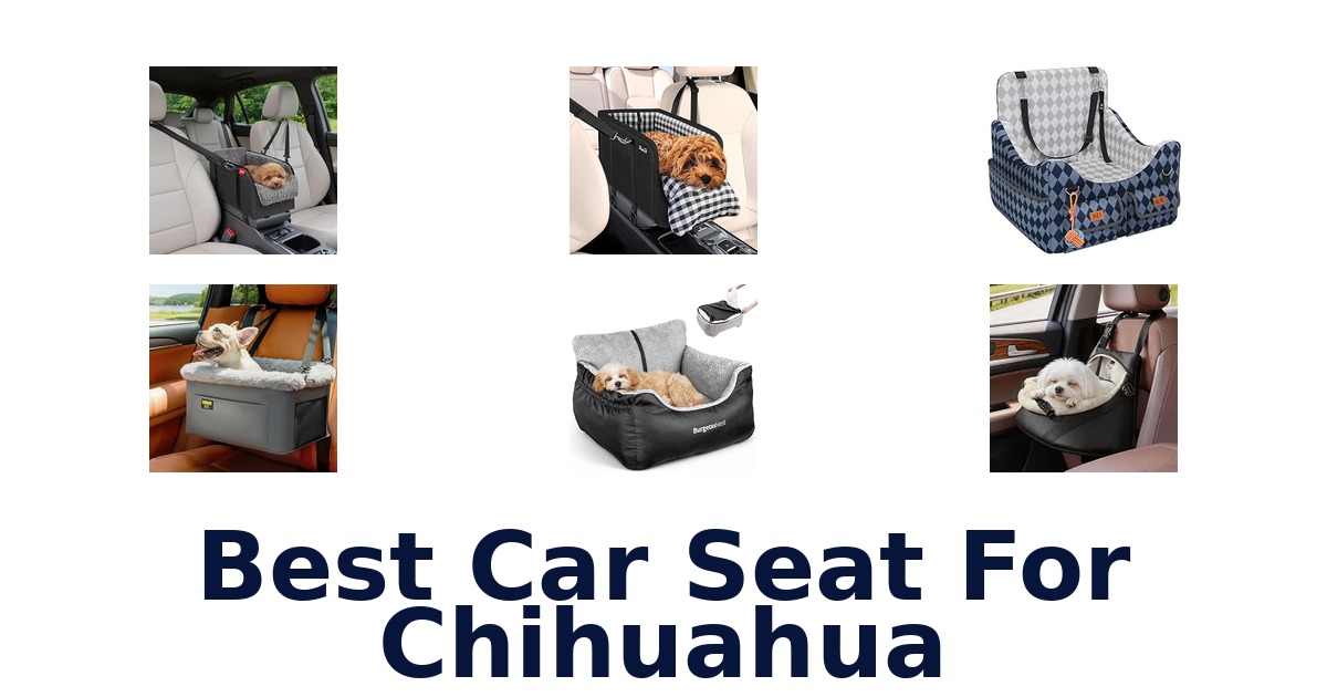 Best Car Seat For Chihuahua