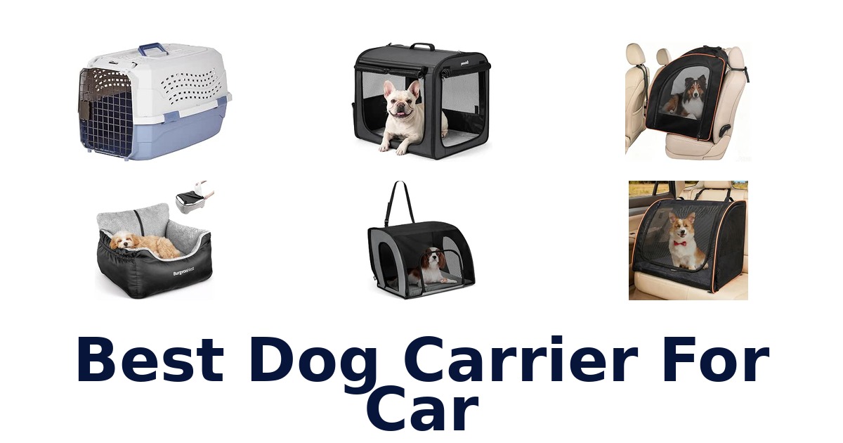 Best Dog Carrier For Car