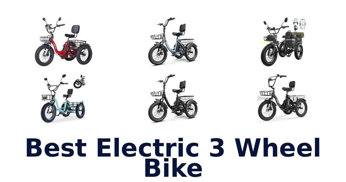 Best Electric 3 Wheel Bike