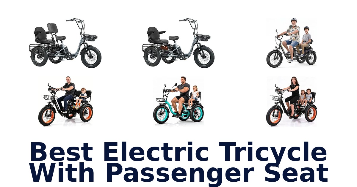 Best Electric Tricycle With Passenger Seat