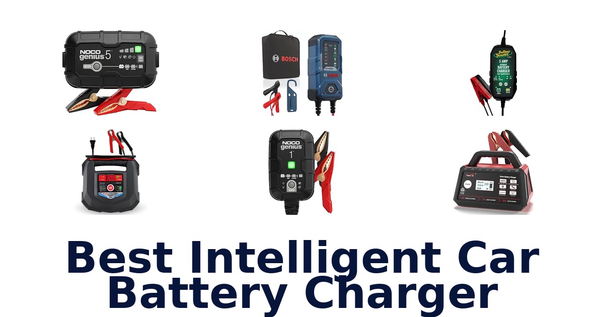Best Intelligent Car Battery Charger