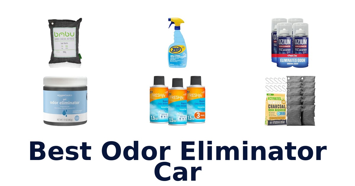 Best Odor Eliminator Car