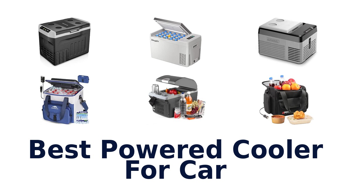 Best Powered Cooler For Car