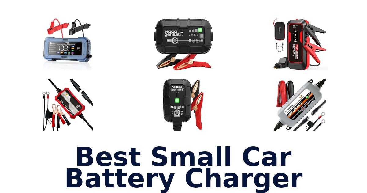 Best Small Car Battery Charger
