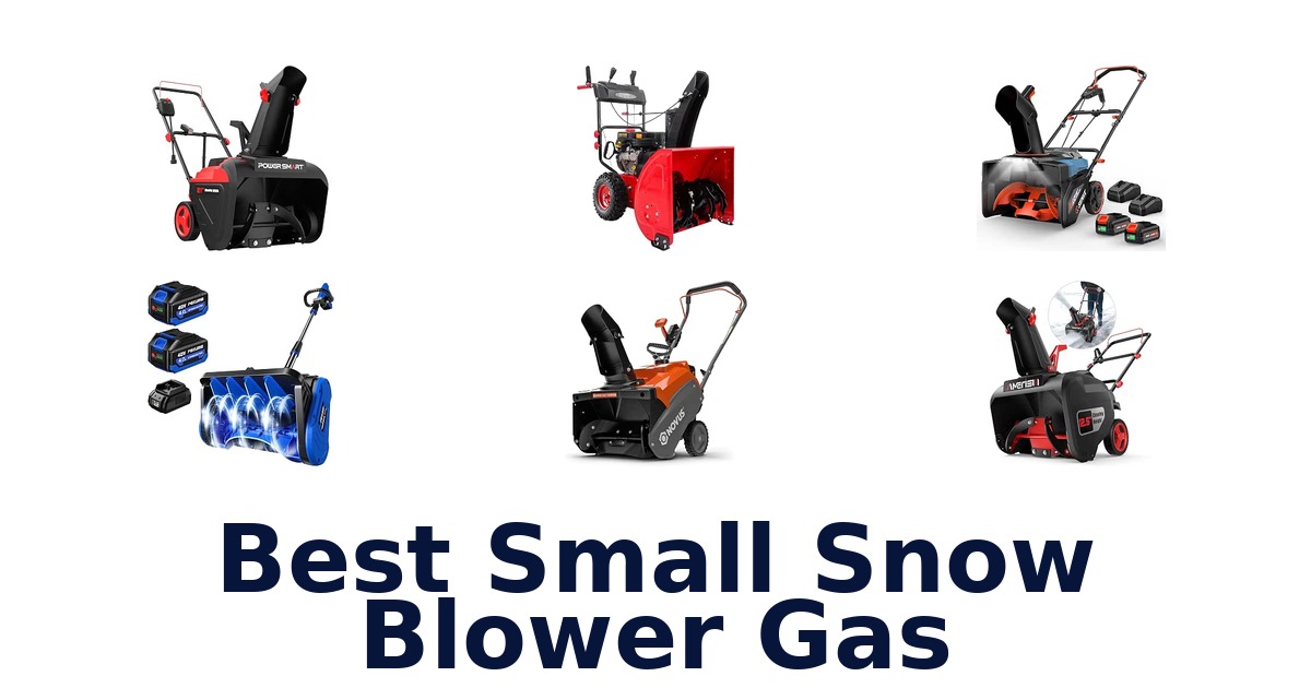 Best Small Snow Blower Gas