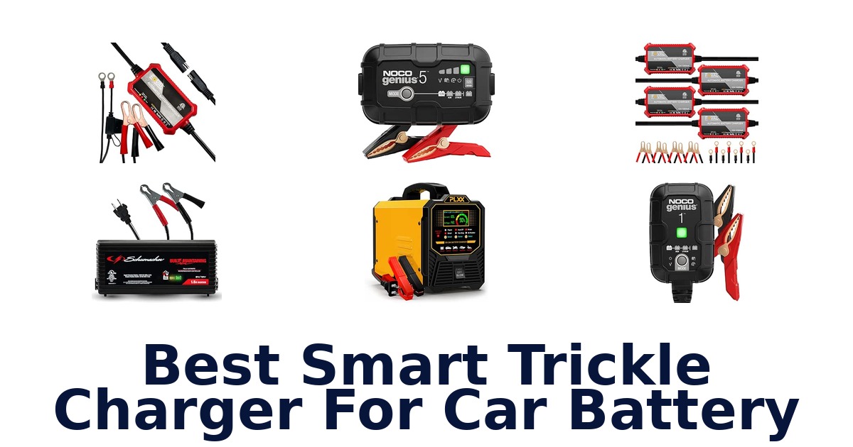 Best Smart Trickle Charger For Car Battery