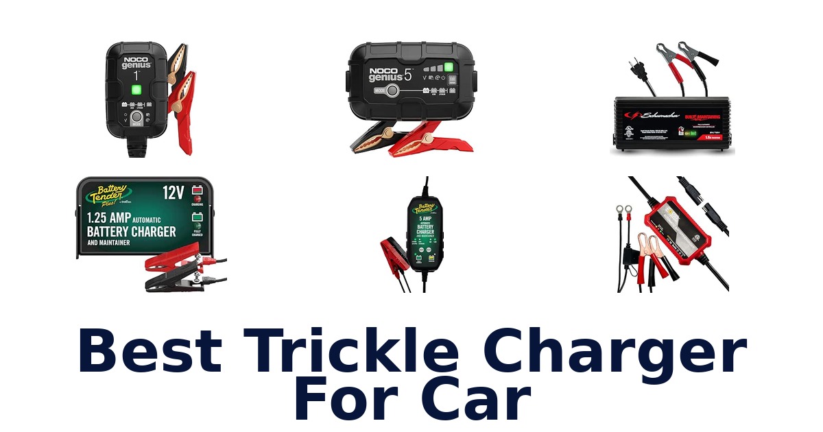 Best Trickle Charger For Car